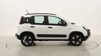 Usata Fiat Panda Cross Cross 69 CV (50 kW) 2020 Utilitaria