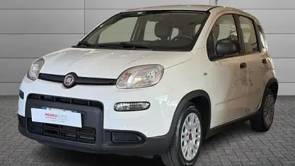Usata Fiat Panda S 69 CV (50 kW) 2024 Bianco Utilitaria