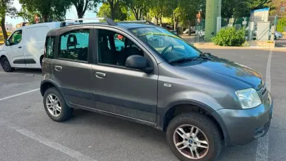 Usata Fiat Panda 4x4 Climbing 69 CV (50 kW) 2010 Grigio Utilitaria