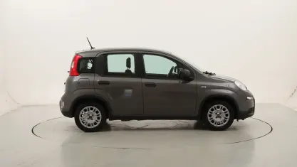Usata Fiat Panda 70 CV (51 kW) 2023 Grigiogrigio Utilitaria