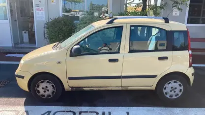 Usata Fiat Panda 69 CV (50 kW) 2011 Giallo Utilitaria