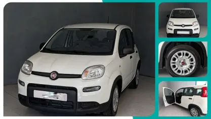 Usata Fiat Panda City Life 70 CV (51 kW) 2023 Bianco Utilitaria