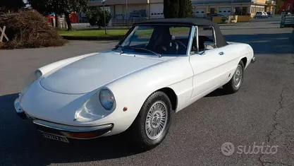 Usata Alfa Romeo Spider Veloce 131 CV (96 kW) 1970 Bianco Cabrio