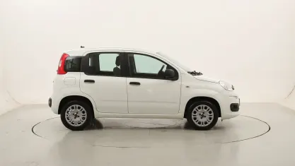 Usata Fiat Panda 69 CV (50 kW) 2020 Biancobianco Utilitaria