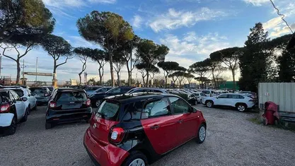 Usata Smart ForFour 71 CV (52 kW) 2016 Rosso Utilitaria