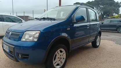 Usata Fiat Panda 4x4 Climbing 75 CV (55 kW) 2006 Blu Utilitaria