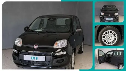 Usata Fiat Panda Icon 70 CV (51 kW) 2025 Berlina