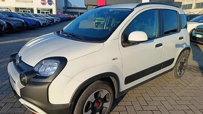 Bianco Usata 2024 Fiat Panda Cross Cross Due volumi | 13.900 € (Buon prezzo)