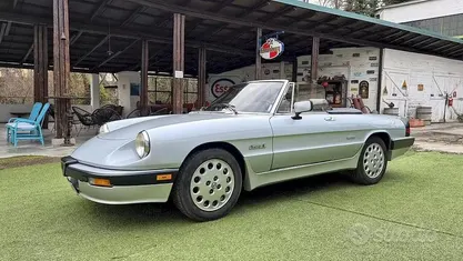 Usata Alfa Romeo Spider Quadrifoglio Verde 125 CV (91 kW) 1987 Grigio Cabrio