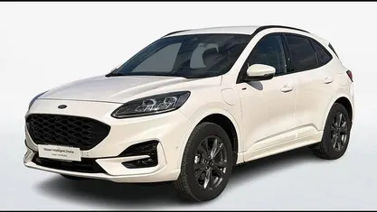 Usata Ford Kuga ST-Line X 225 CV (165 kW) 2023 Bianco SUV