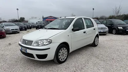 Usata Fiat Punto Active 59 CV (43 kW) 2010 Utilitaria