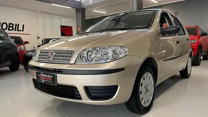 Usata Fiat Punto Active 60 CV (44 kW) 2009 Marrone Utilitaria