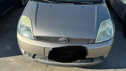 Usata Ford Fiesta Ambiente 75 CV (55 kW) 2004 Marrone Utilitaria