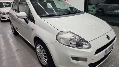 Usata Fiat Punto Lounge 69 CV (50 kW) 2014 Berlina