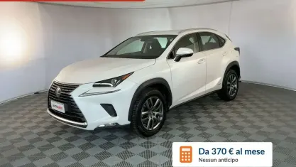 Usata Lexus NX300h Business Edition 155 CV (114 kW) 2019 Bianco SUV