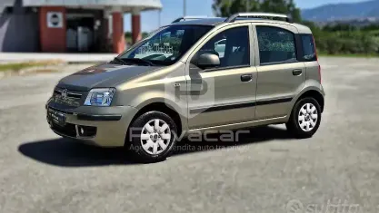 Usata Fiat Panda Dynamic 60 CV (44 kW) 2010 Marrone Utilitaria