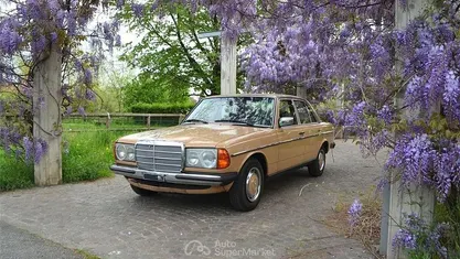 Usata Mercedes 200 94 CV (69 kW) 1977 Berlina