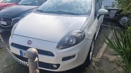 Usata Fiat Punto Lounge 95 CV (69 kW) 2013 Bianco Utilitaria