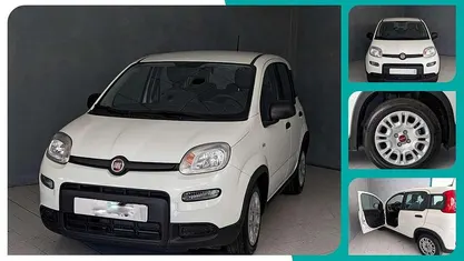 Usata Fiat Panda City Life 70 CV (51 kW) 2023 Bianco Utilitaria