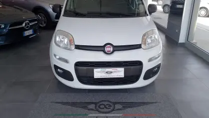 Usata Fiat Panda Easy 69 CV (50 kW) 2019 Bianco Utilitaria