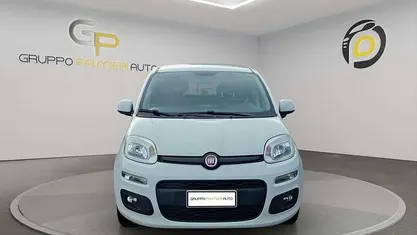 Usata Fiat Panda Easy 69 CV (50 kW) 2019 Bianco Utilitaria