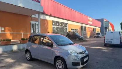 Usata Fiat Panda Easy 69 CV (50 kW) 2019 Grigio Utilitaria