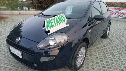 Usata Fiat Punto Lounge 70 CV (51 kW) 2016 Nero Utilitaria