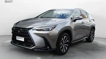 Usata Lexus NX350h Business Edition 243 CV (178 kW) 2023 Grigio SUV