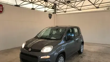 Usata Fiat Panda Easy 70 CV (51 kW) 2019 Grigio Utilitaria