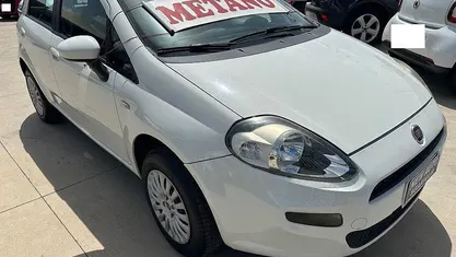 Usata Fiat Punto Easy 80 CV (58 kW) 2013 Bianco Utilitaria