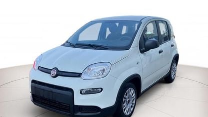 Usata Fiat Panda Cross Cross 70 CV (51 kW) 2024 Bianco Utilitaria
