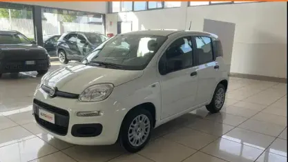 Usata Fiat Panda Icon 65 CV (47 kW) 2025 Bianco Utilitaria