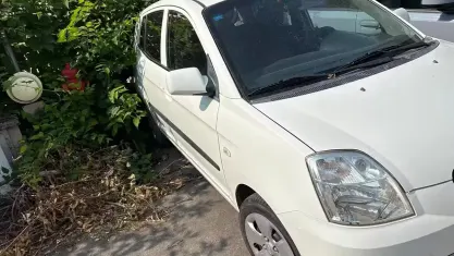Usata Kia Picanto Urban 61 CV (44 kW) 2006 Bianco Utilitaria