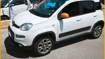 Usata Fiat Panda 4x4 S 75 CV (55 kW) 2013 Bianco Utilitaria