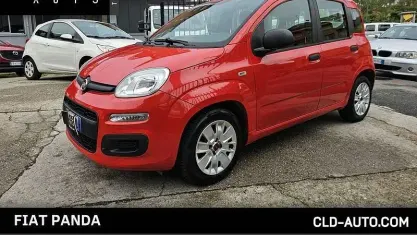 Usata Fiat Panda Easy 69 CV (50 kW) 2016 Rosso Utilitaria
