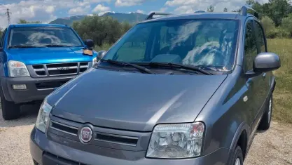 Usata Fiat Panda 4x4 Climbing 75 CV (55 kW) 2012 Argento Utilitaria