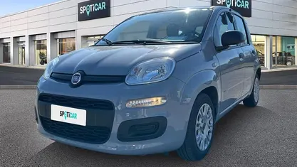 Usata Fiat Panda Easy 70 CV (51 kW) 2021 Utilitaria