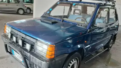 Usata Fiat Panda 54 CV (39 kW) 2003 Blu Utilitaria