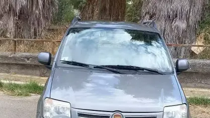 Usata Fiat Panda 69 CV (50 kW) 2011 Grigio Utilitaria