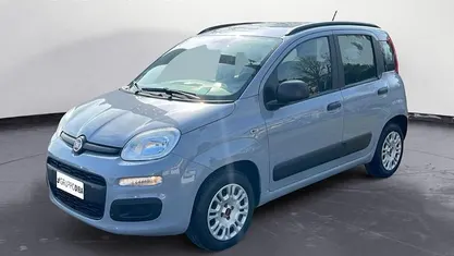 Usata Fiat Panda Easy 69 CV (50 kW) 2019 Grigio Utilitaria