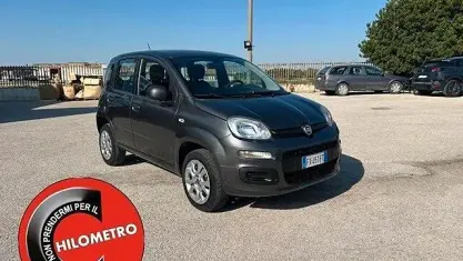 Usata Fiat Panda Easy 70 CV (51 kW) 2019 Grigio Utilitaria