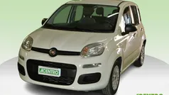 Bianco Usata 2021 Fiat Panda Due volumi | 9900 € (Buon prezzo)