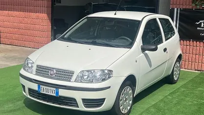 Bianco Usata 2010 Fiat Punto Active Due volumi | 2999 € (Buon prezzo)