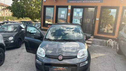 Usata Fiat Panda Lounge 70 CV (51 kW) 2019 Grigio Utilitaria