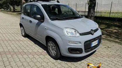 Usata Fiat Panda Easy 69 CV (50 kW) 2018 Grigio Utilitaria