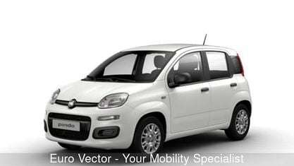 Nouvelle Fiat Panda S 69 ch (50 kW) 2025 Blanc Citadine