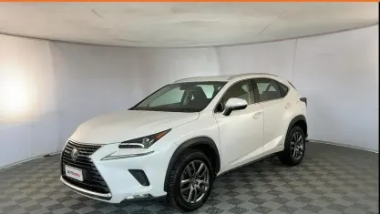 Usata Lexus NX300h Business Edition 155 CV (114 kW) 2019 Bianco SUV