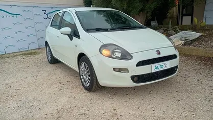 Usata Fiat Punto Lounge 85 CV (62 kW) 2014 Bianco Berlina