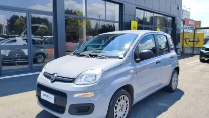 Usata Fiat Panda Pop 69 CV (50 kW) 2019 Grigio Utilitaria