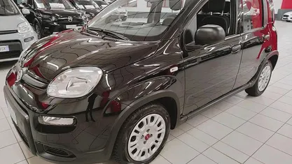 Usata Fiat Panda Easy 69 CV (50 kW) 2023 Nero Utilitaria